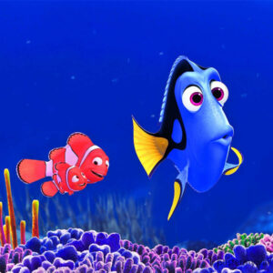 Join the Fin-tastic Expedition of Finding Nemo