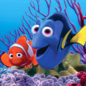 Meet Nemo and Marlin: The Heart and Soul of Finding Nemo