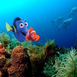 Laugh Out Loud with Finding Nemo's Unforgettable Characters