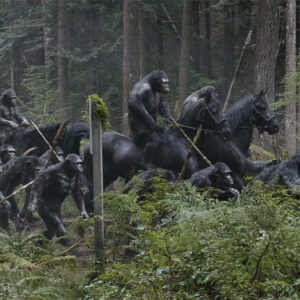 Rising Fury: Planet of the Apes - A Passionate Quest for Justice