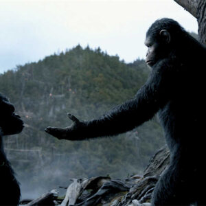 Planet of the Apes: The Evolutionary Leap!