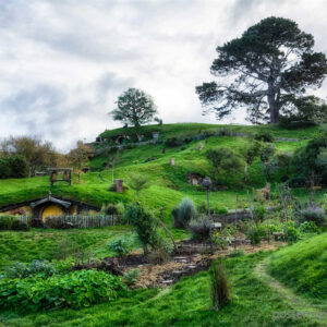 Hobbits: Stewards of the Land and Agriculture