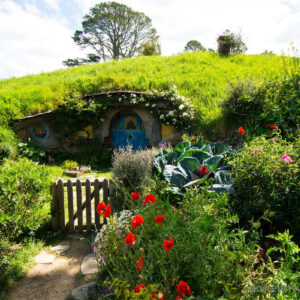 Hobbits: Inquisitive Minds and Lifelong Learners