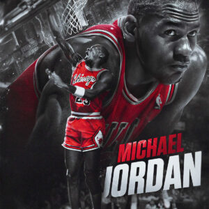 NBA Michael Jordan: NBA Rookie of the Year