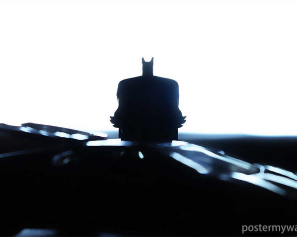 Animated Justice: Batman's Enduring Vigil