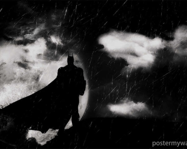 Witness Bruce Wayne's Transformation into Batman