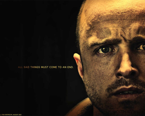 Breaking Bad : Walter White and Jesse Pinkman's Journey to Infamy