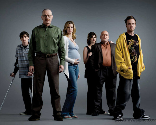 Breaking Bad : Complex Drug Trade