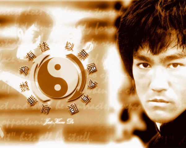 The Bruce Lee Story: From Hong Kong to Hollywood