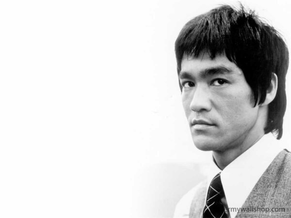 The Bruce Lee Phenomenon: Beyond Martial Arts