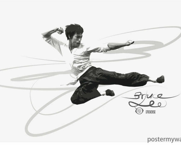 he Bruce Lee Phenomenon: Inspiring Unity through Martial Arts