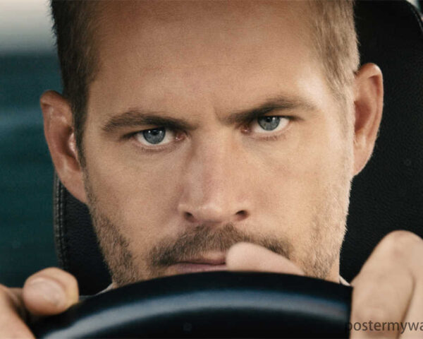 Fast & Furious: Rev Up Your Excitement as a Fan