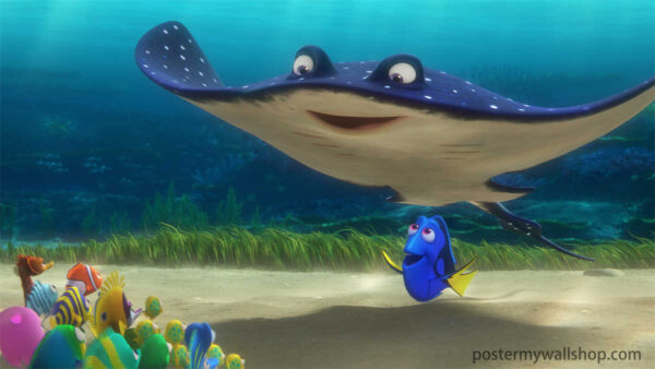 Finding Nemo: Explore the Adorable Depths of the Ocean