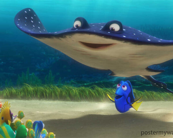 Finding Nemo: Explore the Adorable Depths of the Ocean