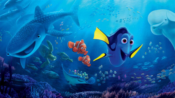 Finding Nemo: Colorful Underwater World of Marine Animals