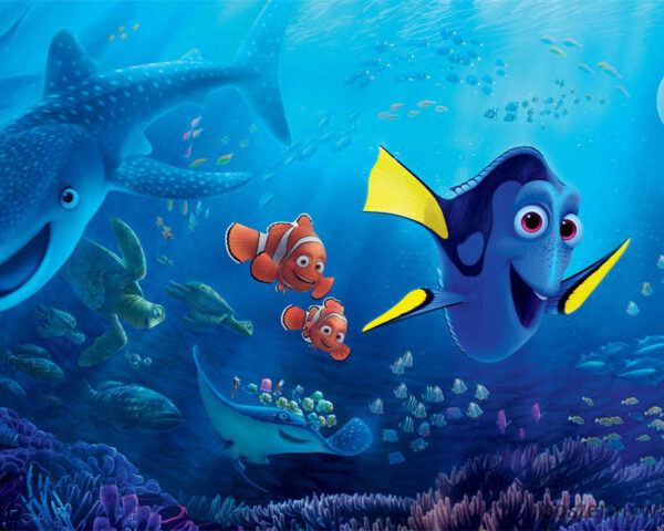 Finding Nemo: Colorful Underwater World of Marine Animals
