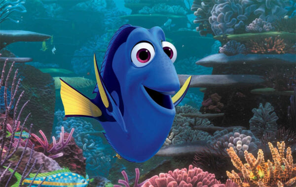 Finding Nemo: Discover the Adorable Bluefish Baby Ocean Poster