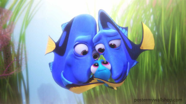 Finding Nemo: Unforgettable Encounters with the Blue Fish Family