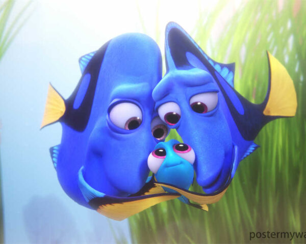 Finding Nemo: Unforgettable Encounters with the Blue Fish Family