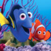 Finding Nemo's Enchanting Underwater World