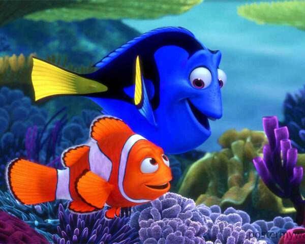 Finding Nemo: An Epic Quest through the Deep Blue Sea
