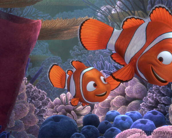 Finding Nemo: Explore the Wonders of the Coral Reef