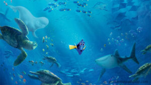 Finding Nemo: Discover the Hidden Treasures of the Ocean