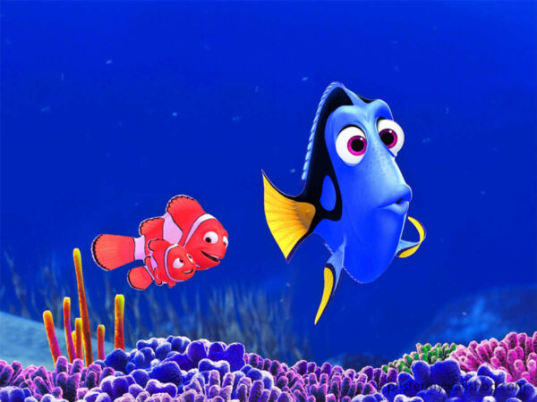 Join the Fin-tastic Expedition of Finding Nemo