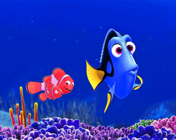 Join the Fin-tastic Expedition of Finding Nemo