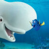 Nemo and Marlin in Finding Nemo