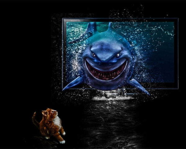 Finding Nemo's Dynamic Duo: Nemo and Marlin Steal Hearts