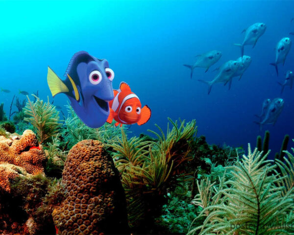 Laugh Out Loud with Finding Nemo's Unforgettable Characters