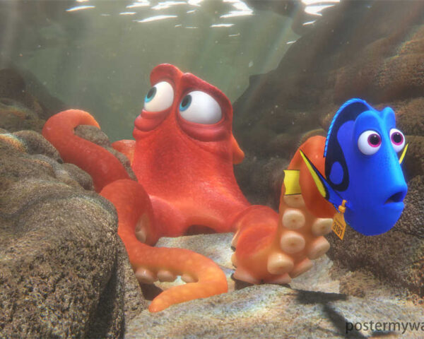 Finding Nemo: Aquatic Adventure Love, Loss and Laughter