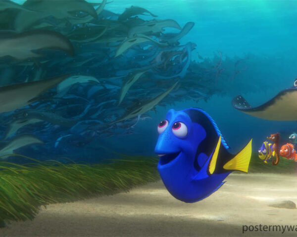 Nemo: The Adorable Hero of Finding Nemo