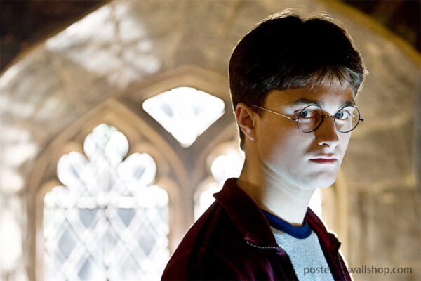 Harry Potter: The Boy Who Lived