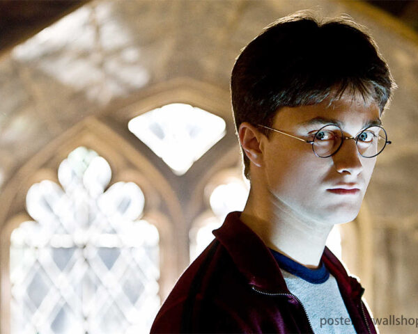 Harry Potter: The Boy Who Lived