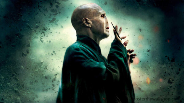 Harry Potter's Nemesis: Voldemort