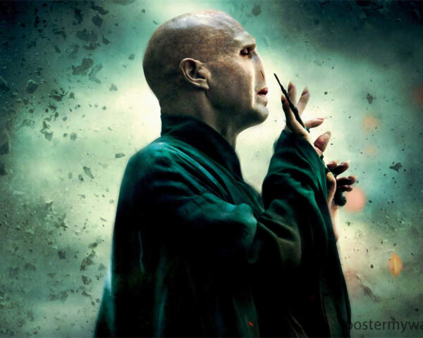 Harry Potter's Nemesis: Voldemort