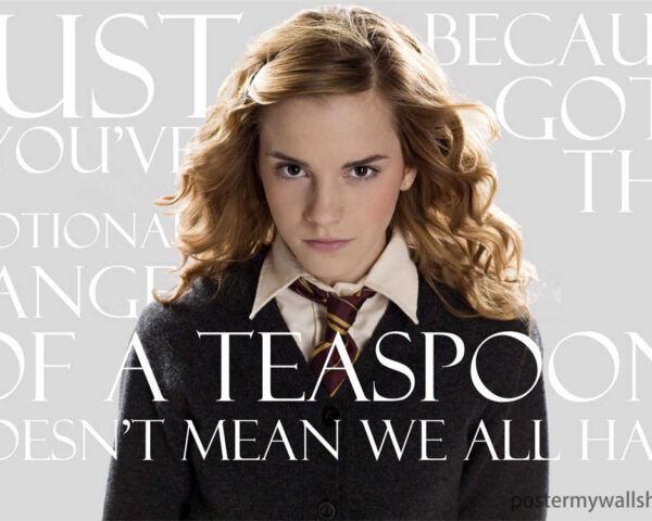 Harry Potter's Ally: Hermione
