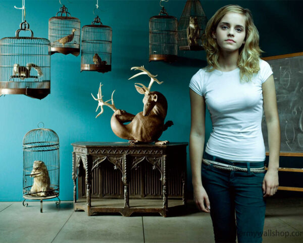 Hermione: Harry Potter's loyal companion