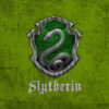 Slytherin: Harry Potter's rival house