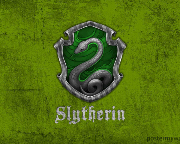 Slytherin: Harry Potter's rival house