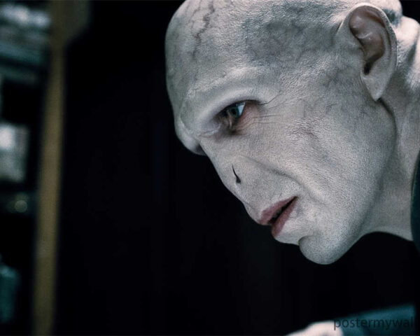 Lord Voldemort: The Dark Lord Who Haunted Harry Potter