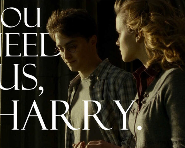 Harry Potter: The Chosen One Who Defied Darkness Alongside Hermione Granger
