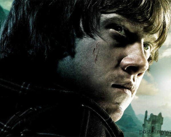 Ron Weasley: Harry Potter’s Loyal and Brave Friend