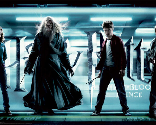 The Harry Potter Trio: The Chosen Ones of Hogwarts
