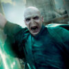 Lord Voldemort: The Embodiment of Evil in the Harry Potter Universe