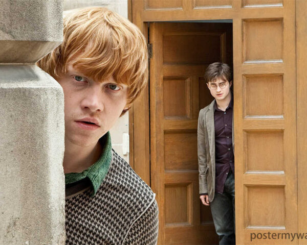 Harry Potter and Ron Weasley: Unbreakable Bonds of Friendship