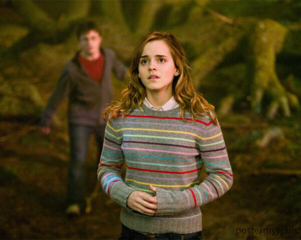Harry Potter: Hermione Granger, the Unforgettable Heroine of Hogwarts