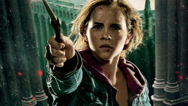 Harry Potter: Hermione Granger, the Brilliant Mind Behind the Magic